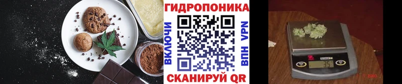 Купить закладки  Волосово  Canna-Cookies конопля 