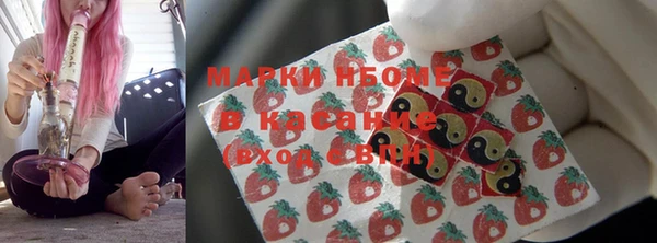 хмурый Зеленокумск
