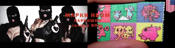 хмурый Зеленокумск