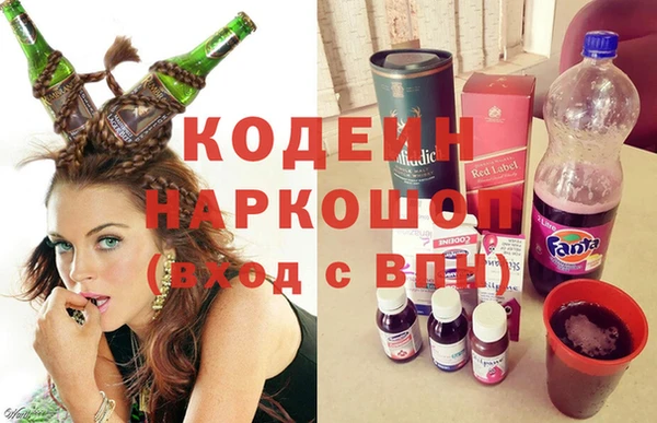прущие крисы Инта