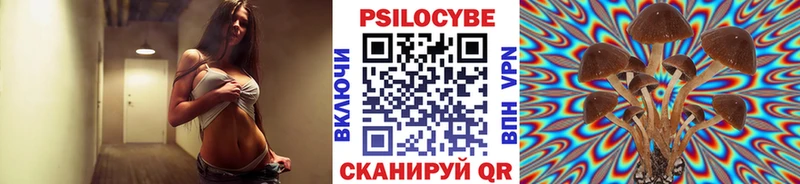 Купить  Волосово  Псилоцибиновые грибы Psilocybine cubensis 